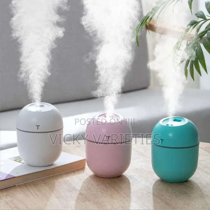 Colourful Egg Humidifier