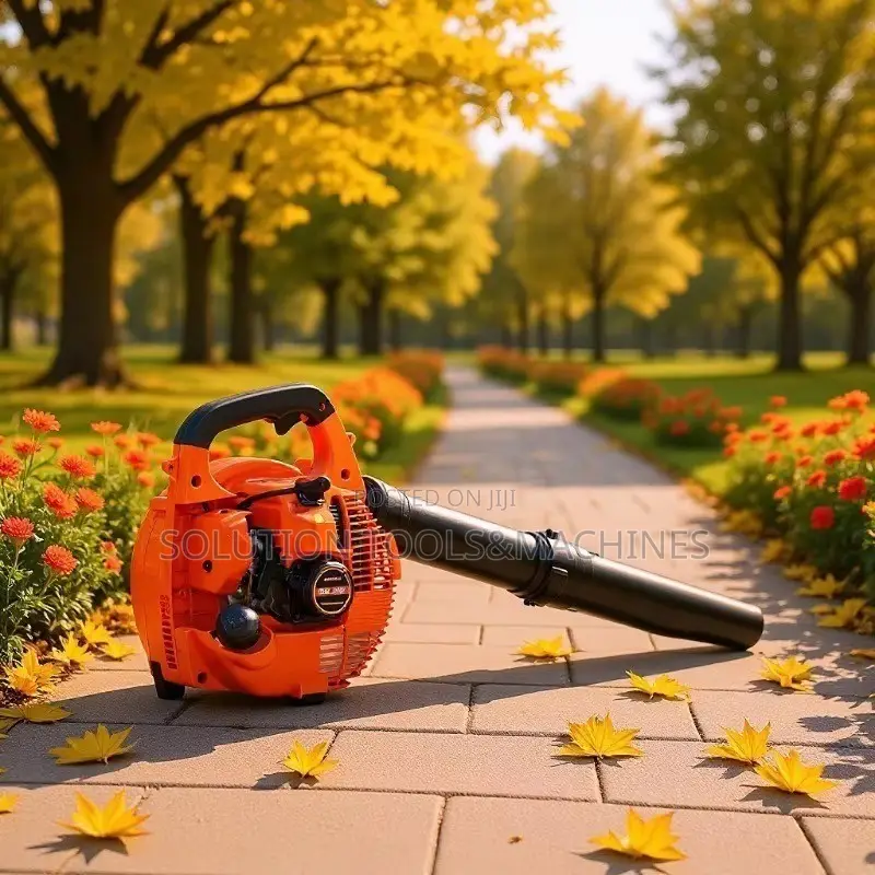 Handheld Gasoline Blower