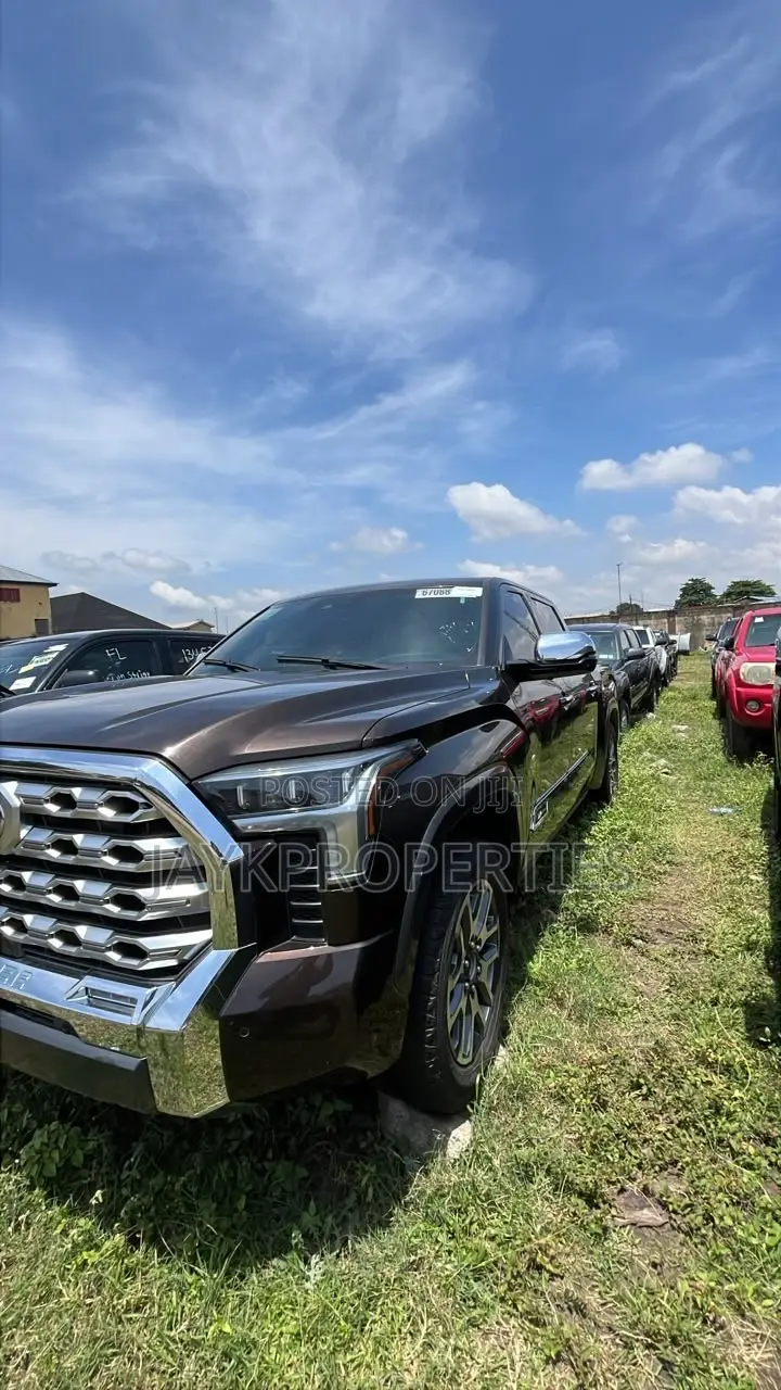 Toyota Tundra 2023 Brown