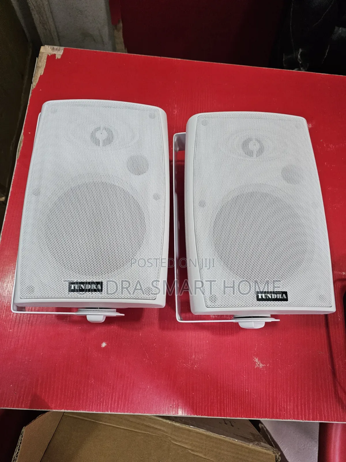 Tundra Wall Mounted Speakers