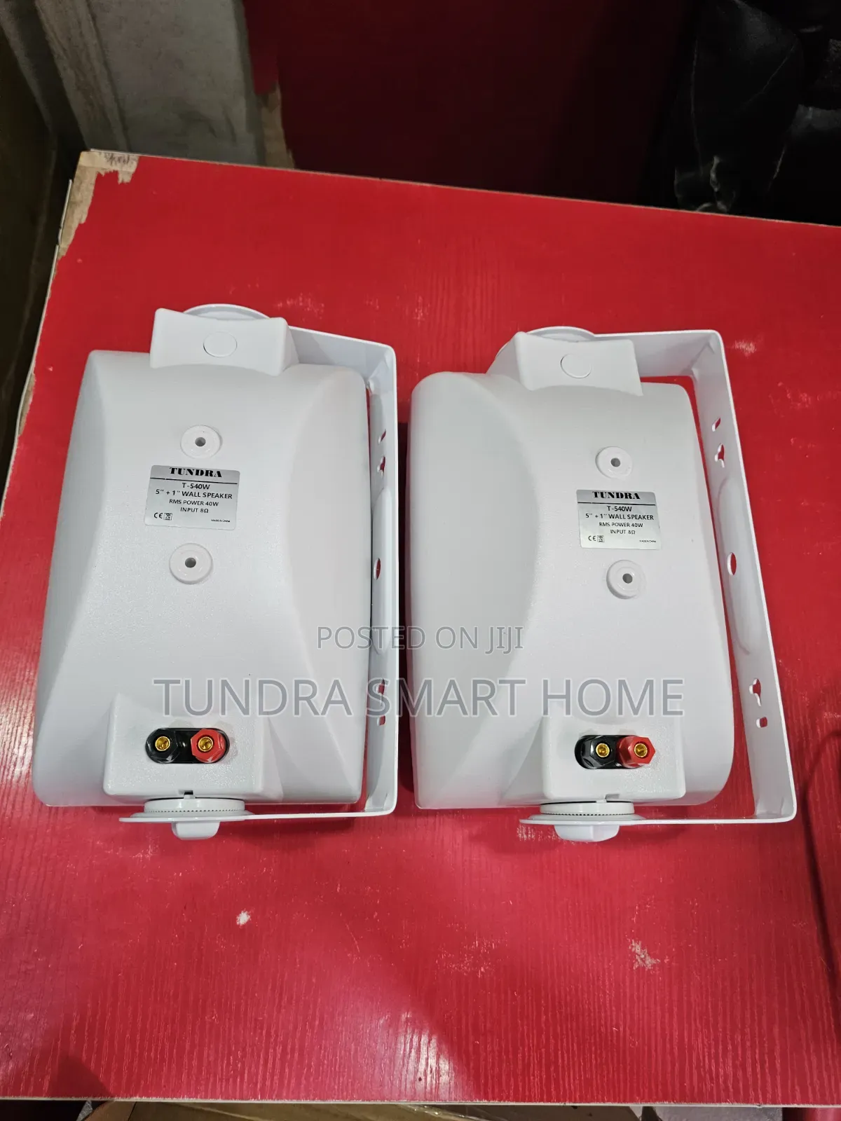 Tundra Wall Mounted Speakers