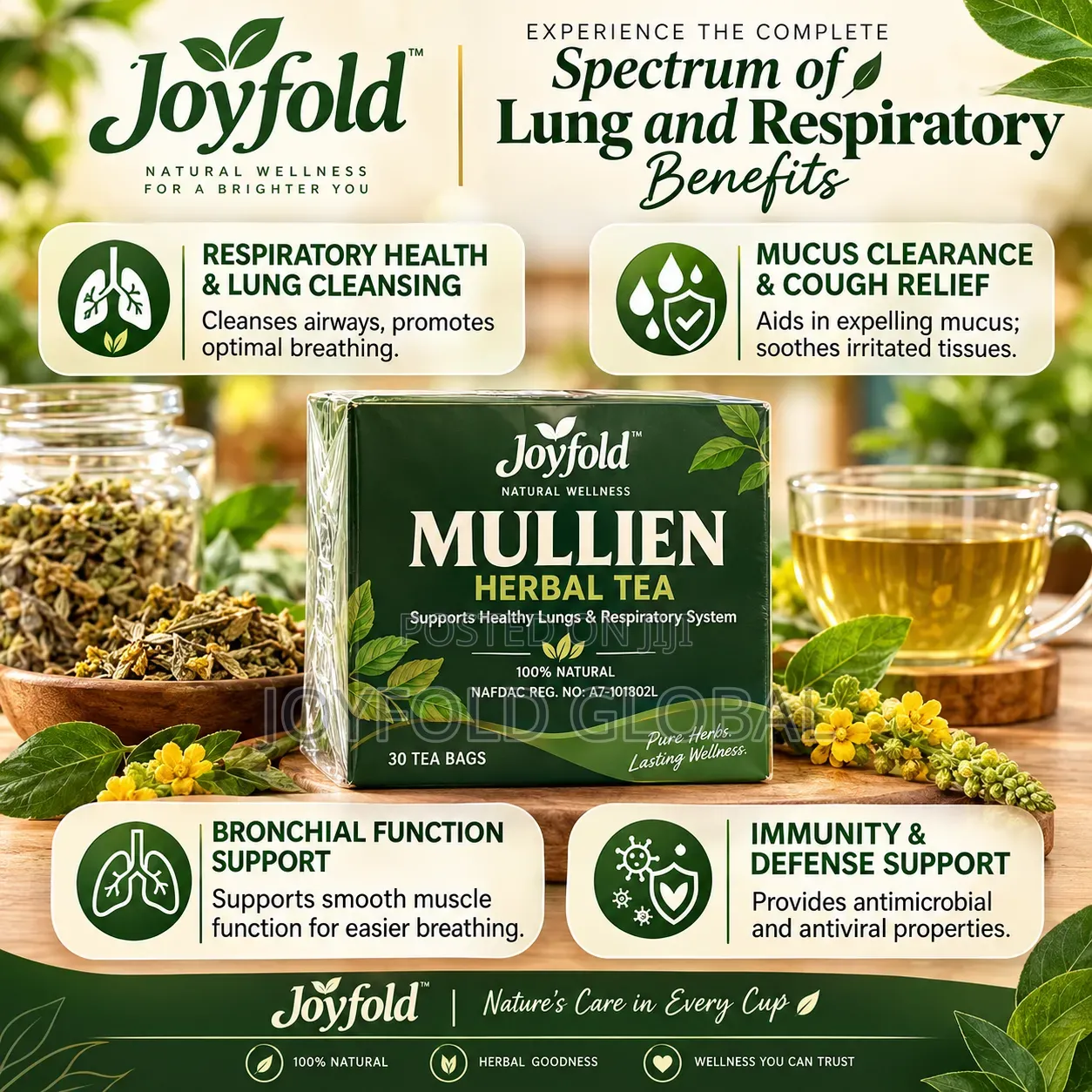 Mullein Herbal Tea- Lung Cleanser and Other Respiratory Issues