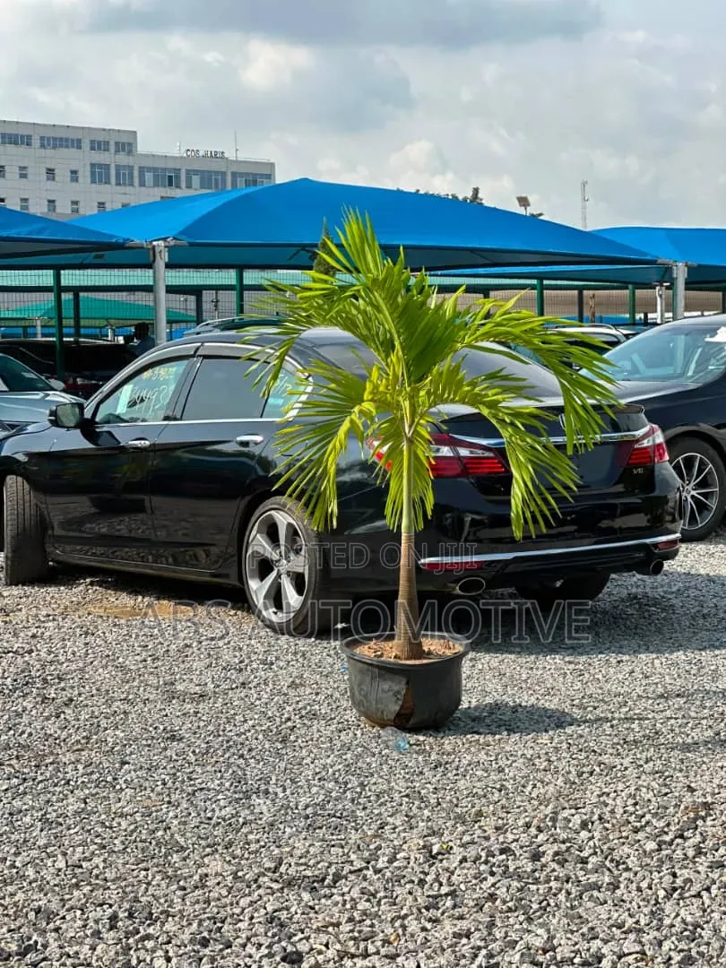 Honda Accord 2017 Matt Black