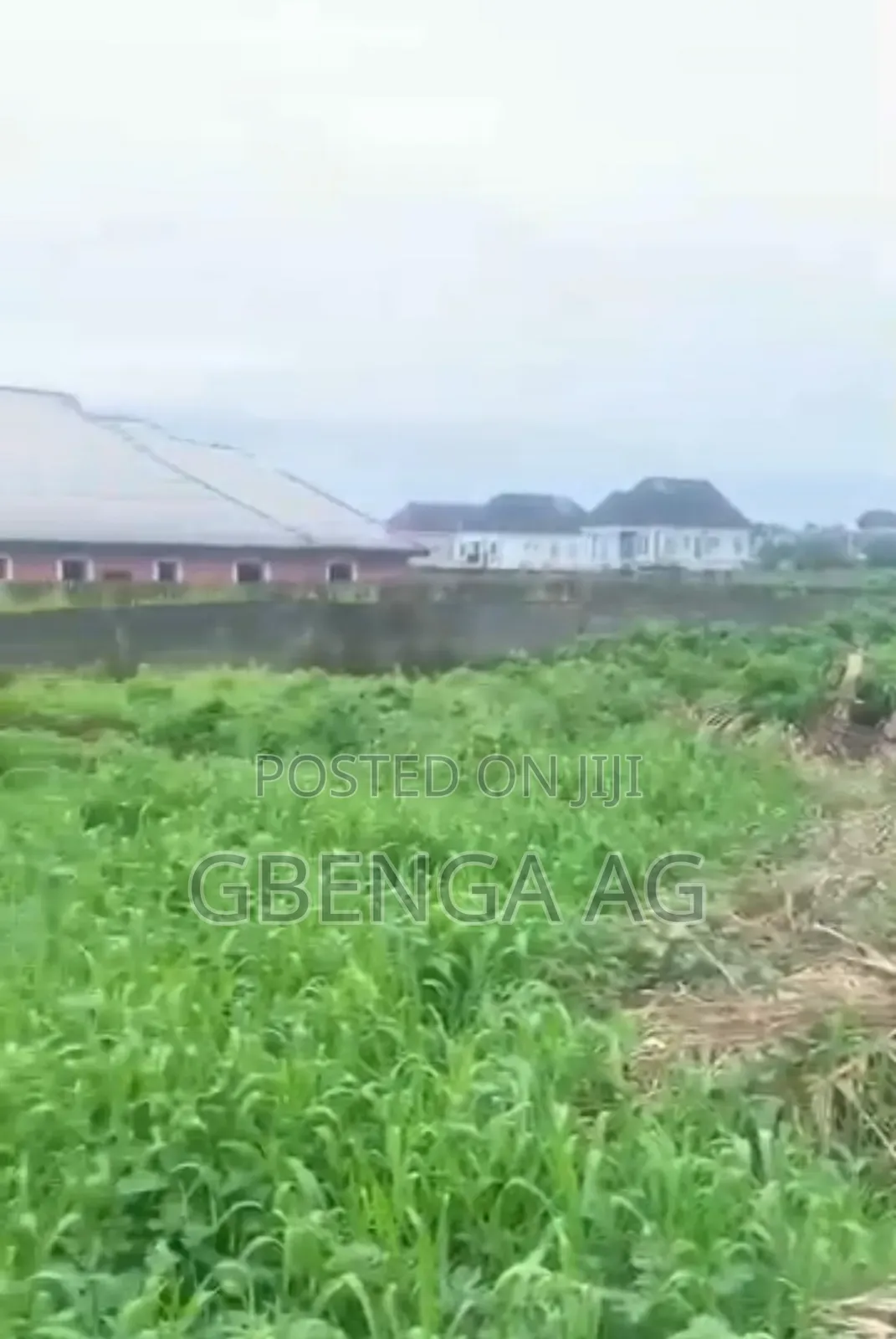 Half Plot of Land for Sale at Idowu Egba Isheri Lagos