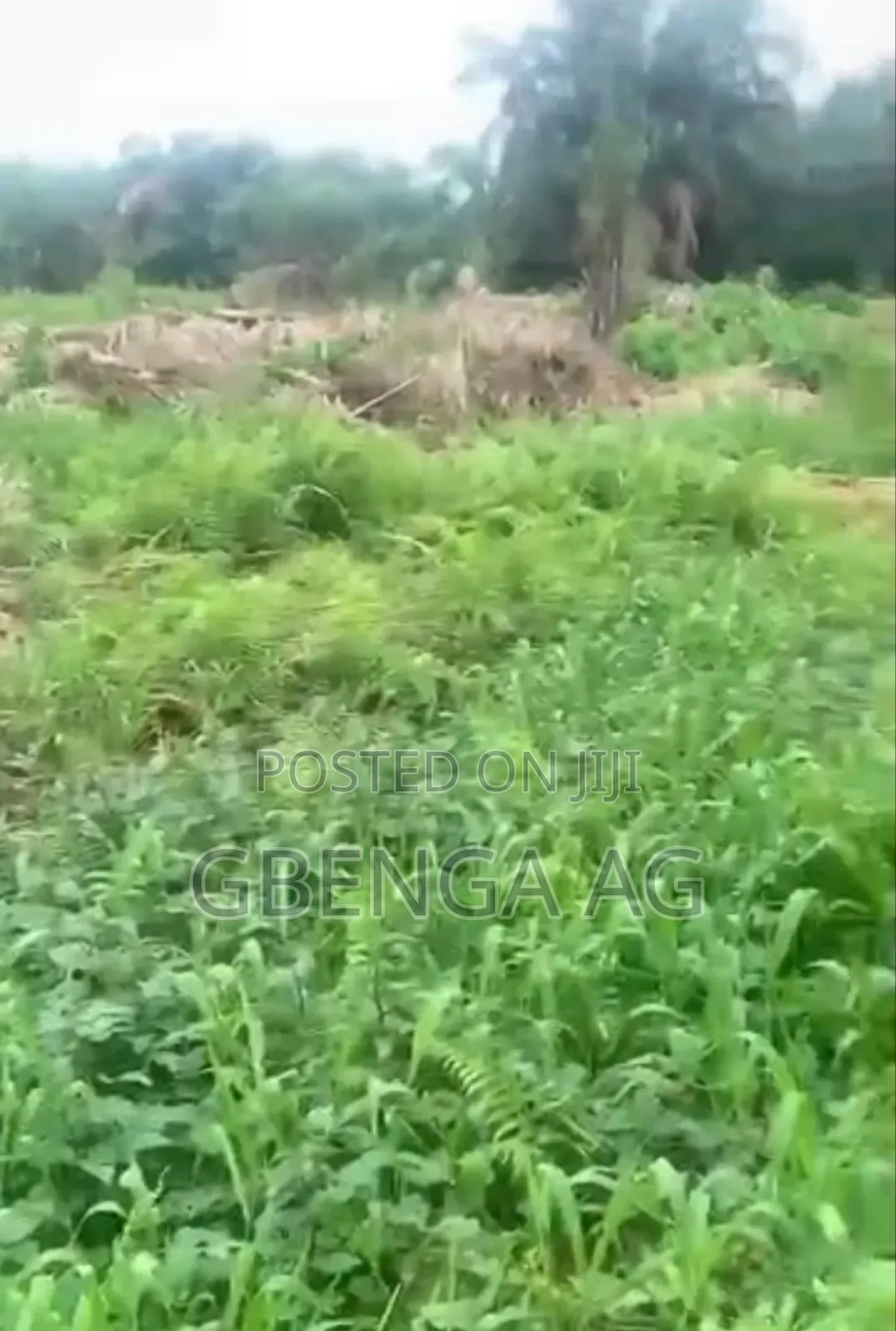 Half Plot of Land for Sale at Idowu Egba Isheri Lagos
