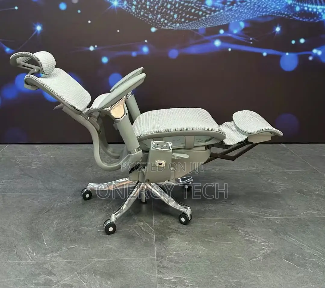 Luxury Ergonomic Mesh Executive Office Chair With Footrest
