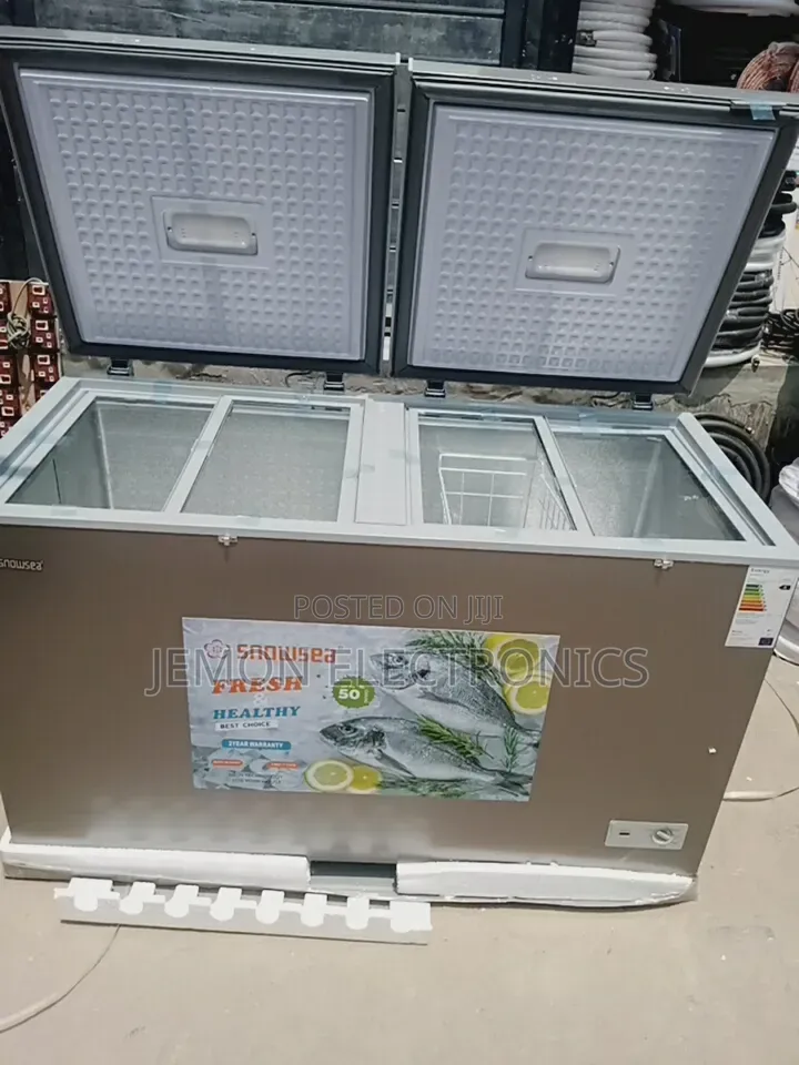 Snowsea BD450 Chest Freezer for Home and Business