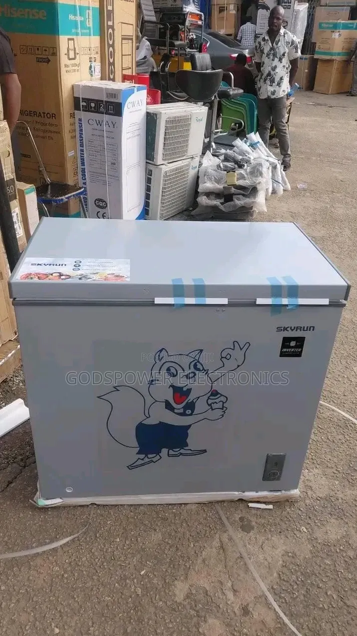 Skyrun 250 L Inverter Freezer