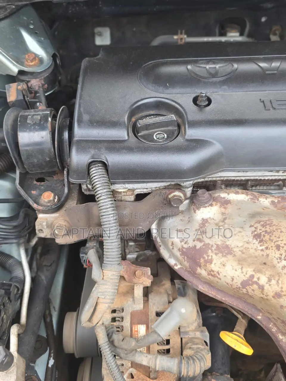 Toyota Camry LE 4dr Sedan (2.4L 4cyl 5A) 2008 Green