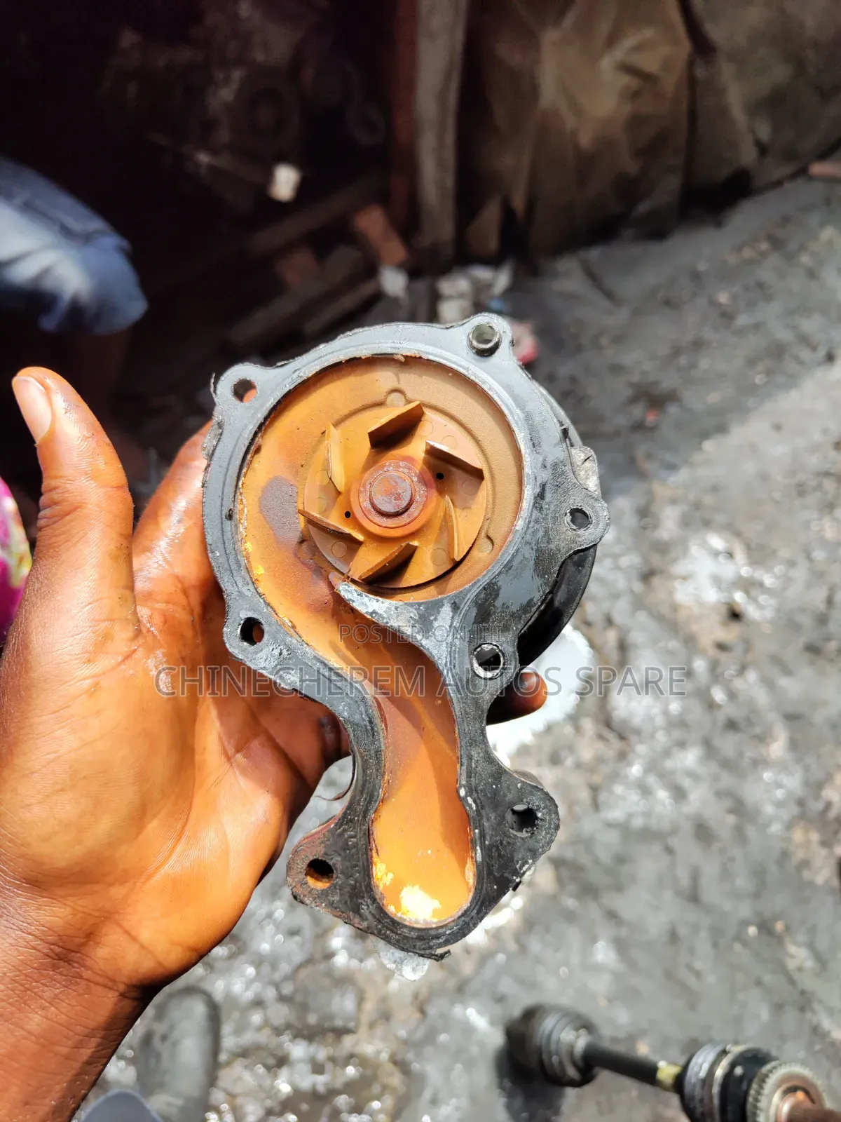 Water Pump for Ford Escape 1.5L (3-Cylinder EcoBoost) 2020 - 2023