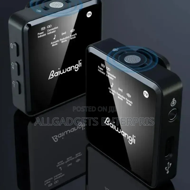 Baiwangli Sx39 Wireless Microphone