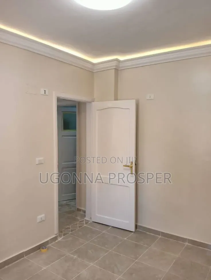 Screeding & Painting Services