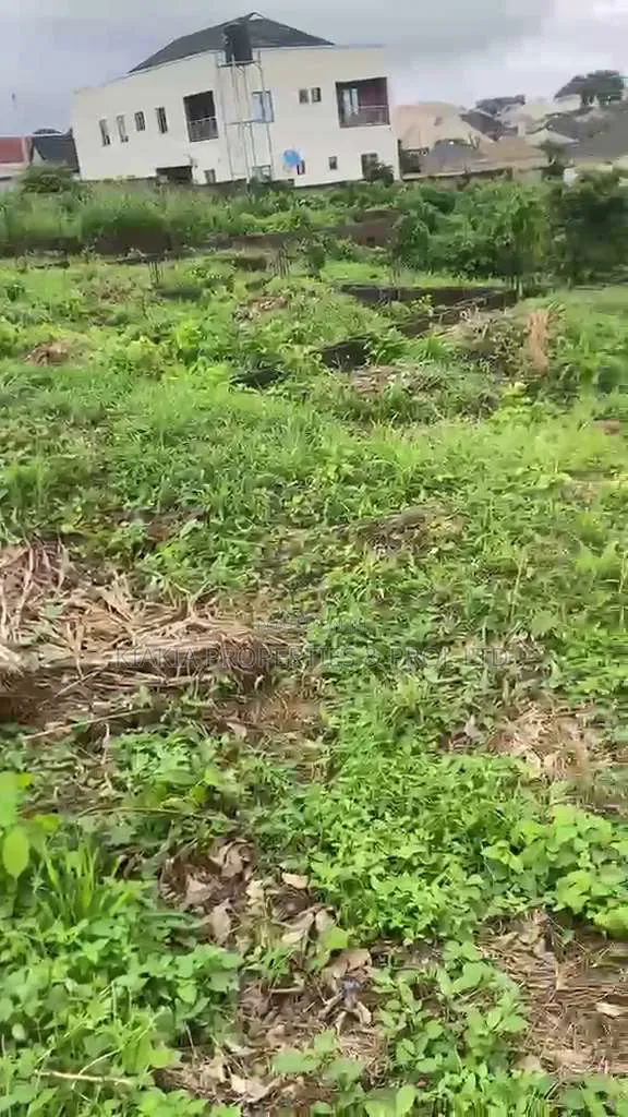 2 & Half Plot at Wisdom, Akobo