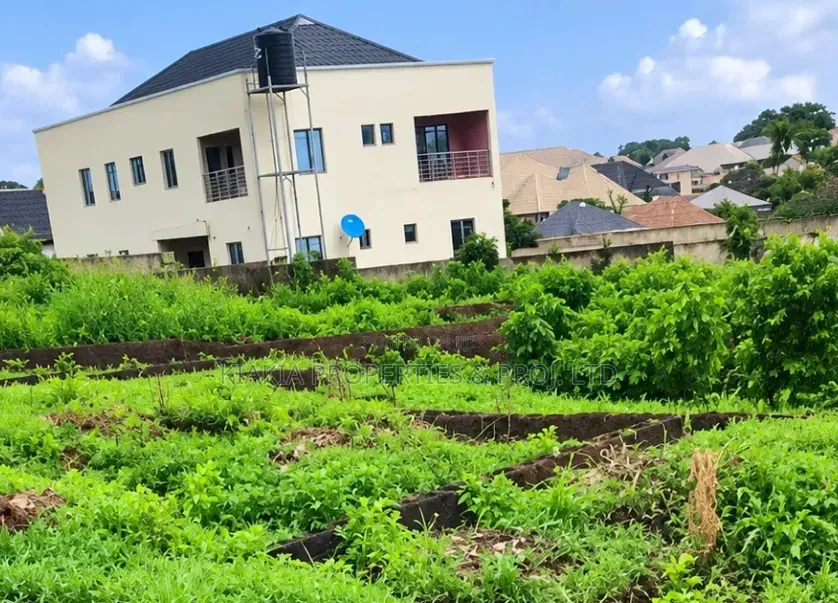 2 & Half Plot at Wisdom, Akobo