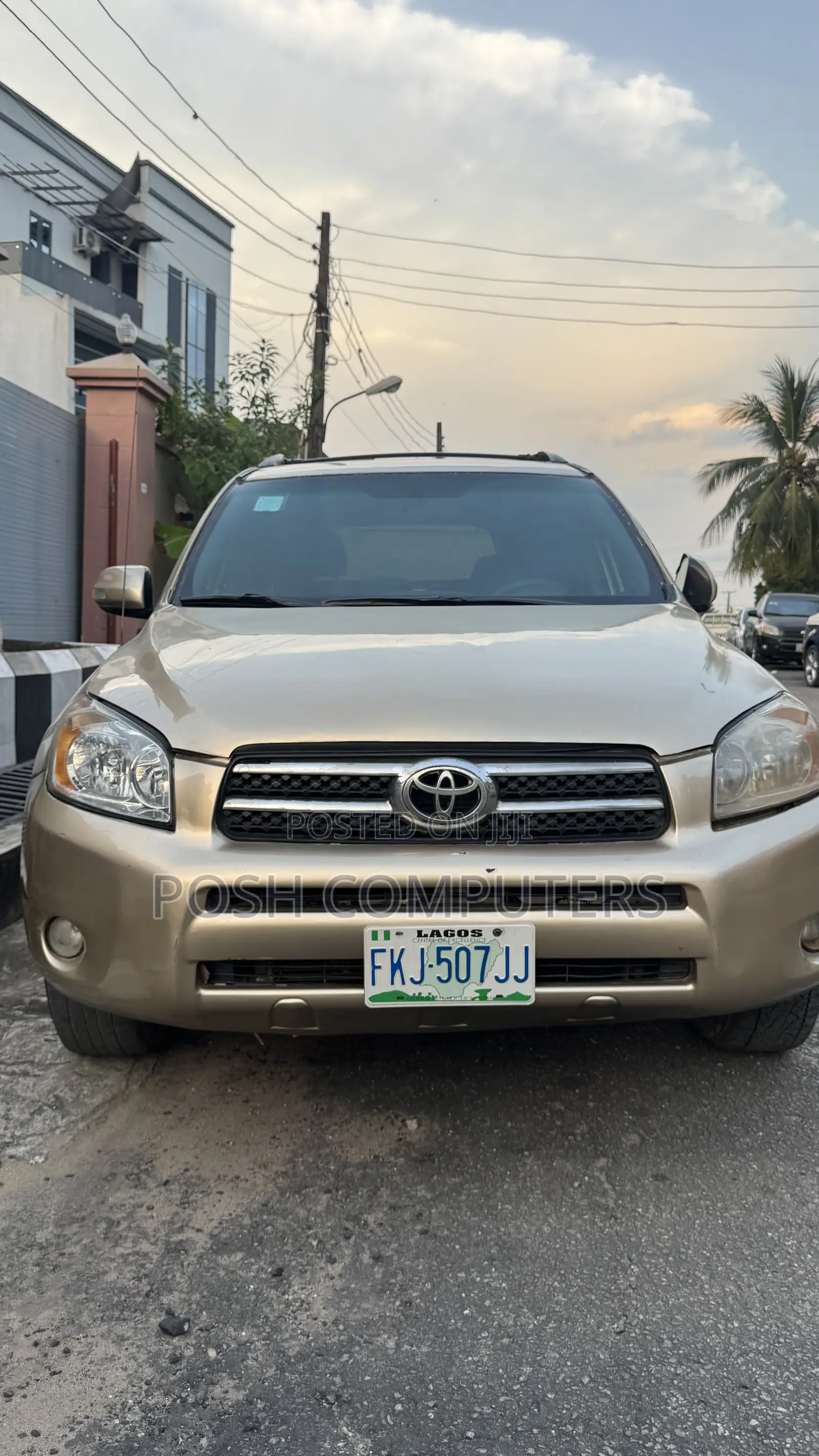 Toyota RAV4 2009 Gold