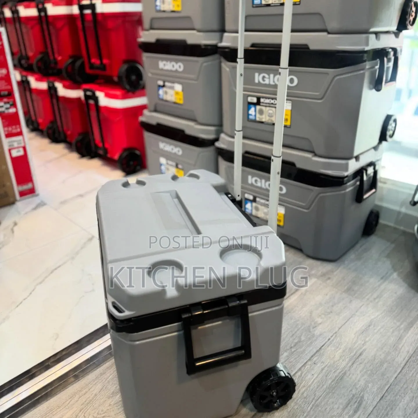 Igloo 60-Quart Sunset Roller Cooler With Wheels
