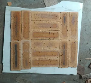 South African Bricks, Good for Wall Cladding, Pillars and TV Backdrops