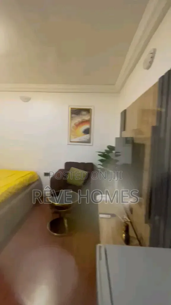 Furnished Studio Apartment in Akoka for rent