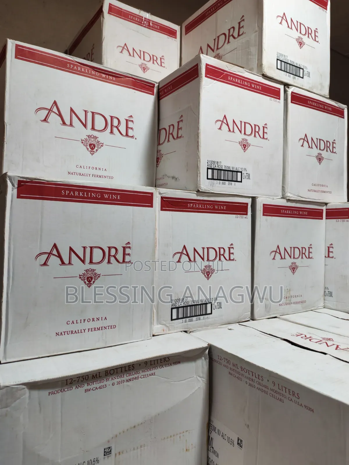 Andre Rose