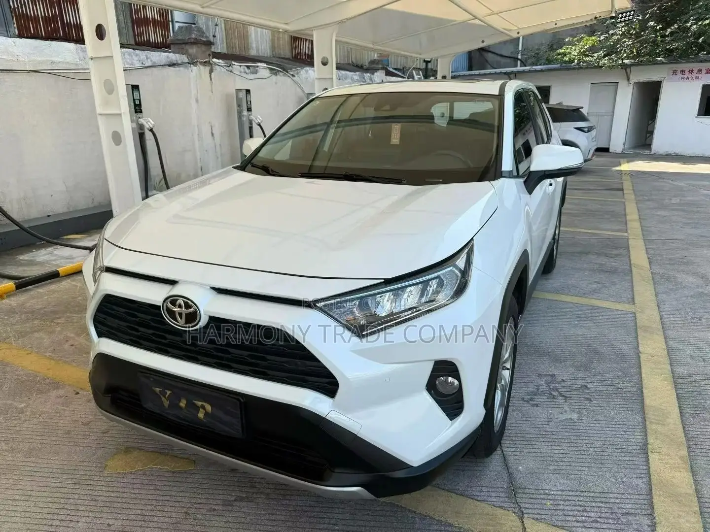 Toyota RAV4 2023 White