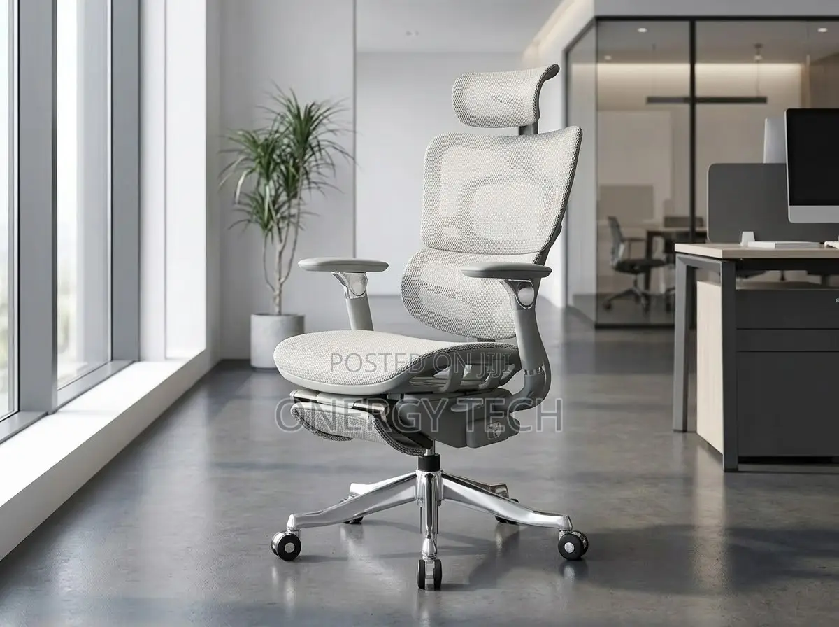 Luxury Ergonomic Mesh Executive Office Chair With Footrest