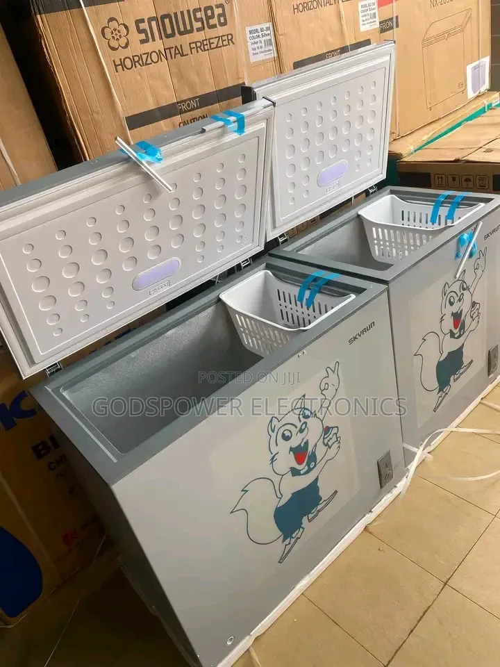 Skyrun BD-250AI Inverter Chest Freezer