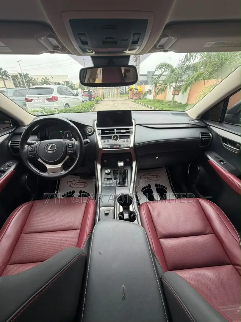 Lexus NX 300 AWD 2021 Gray