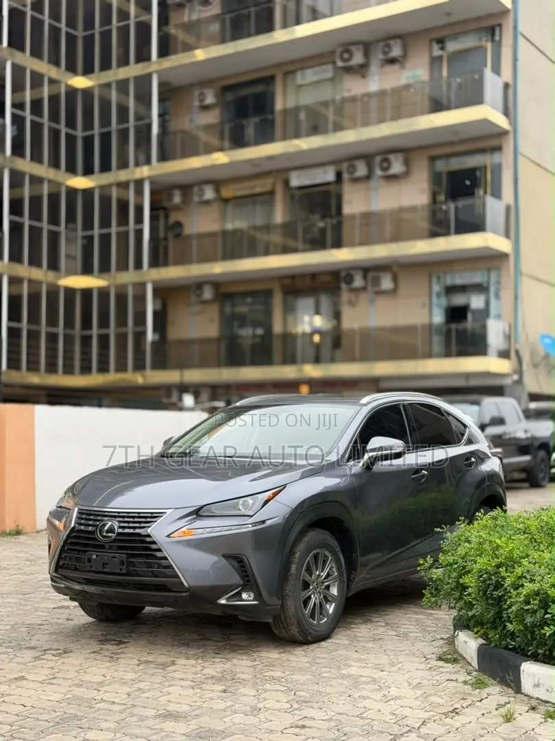 Lexus NX 300 AWD 2021 Gray
