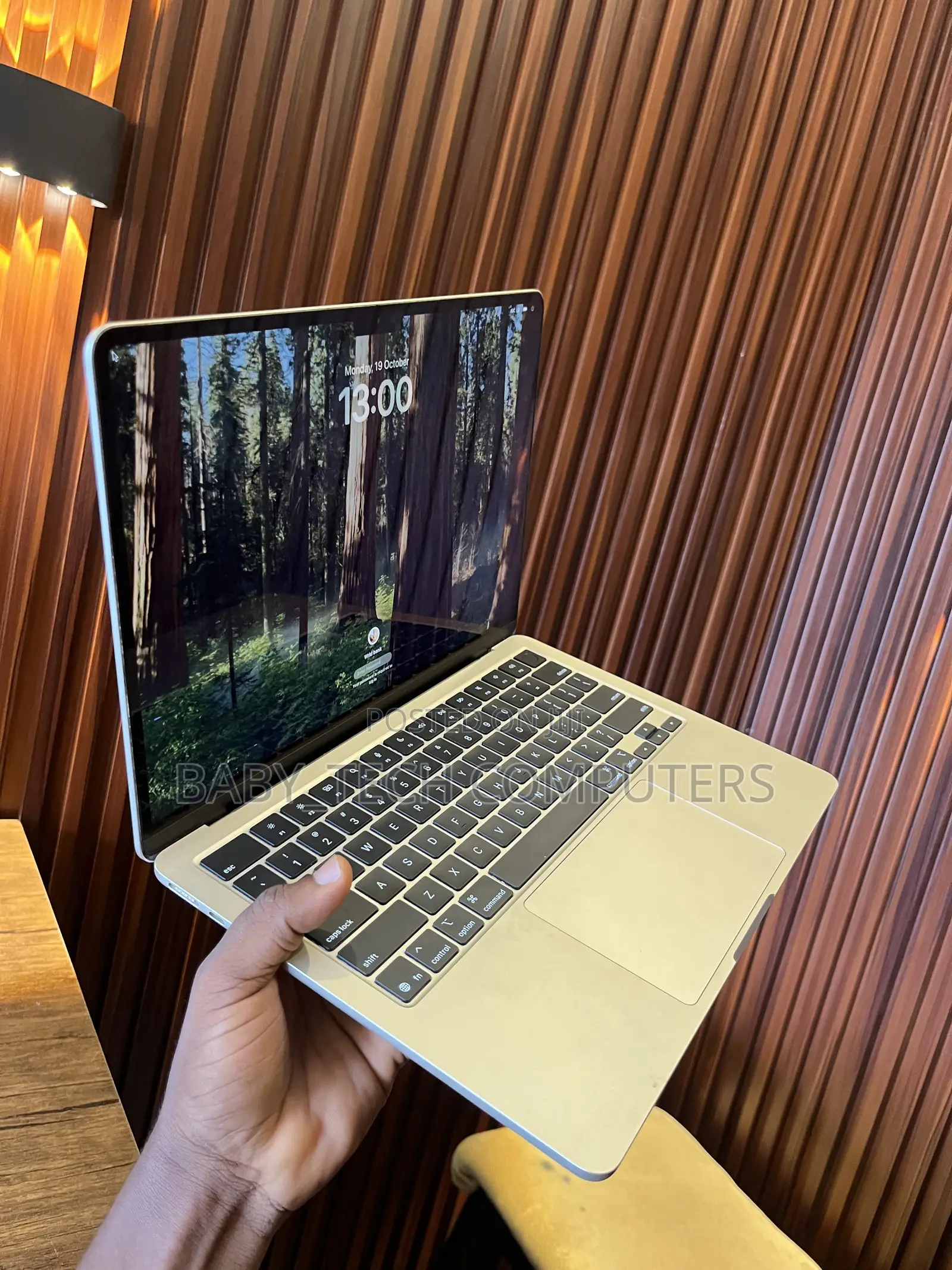 Laptop Apple MacBook Air 2025 M4 16GB Apple M4 SSD 256GB