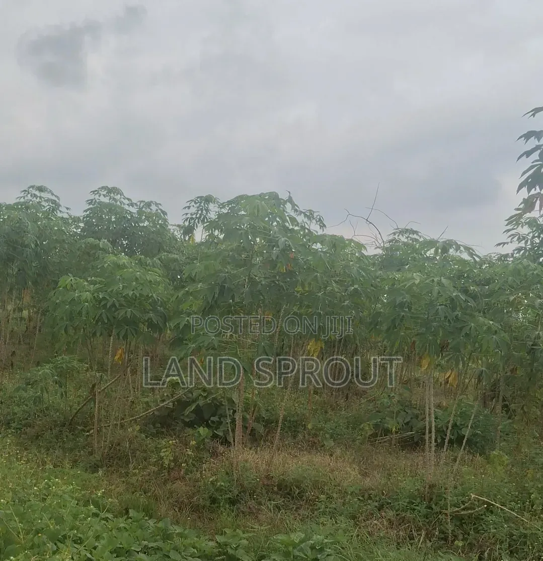 20 Acres Farmland and a Farm House, Reg Survey for Sale