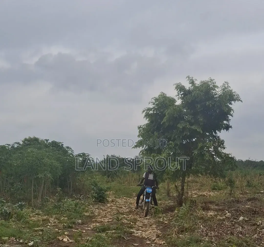 20 Acres Farmland and a Farm House, Reg Survey for Sale