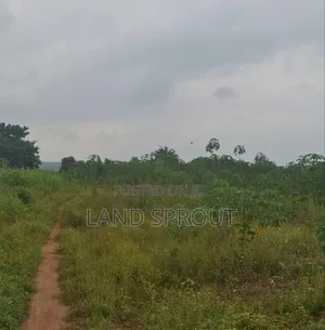 30 Acres Farmland for Sale at Aba-Imo, Ido, Ibadan