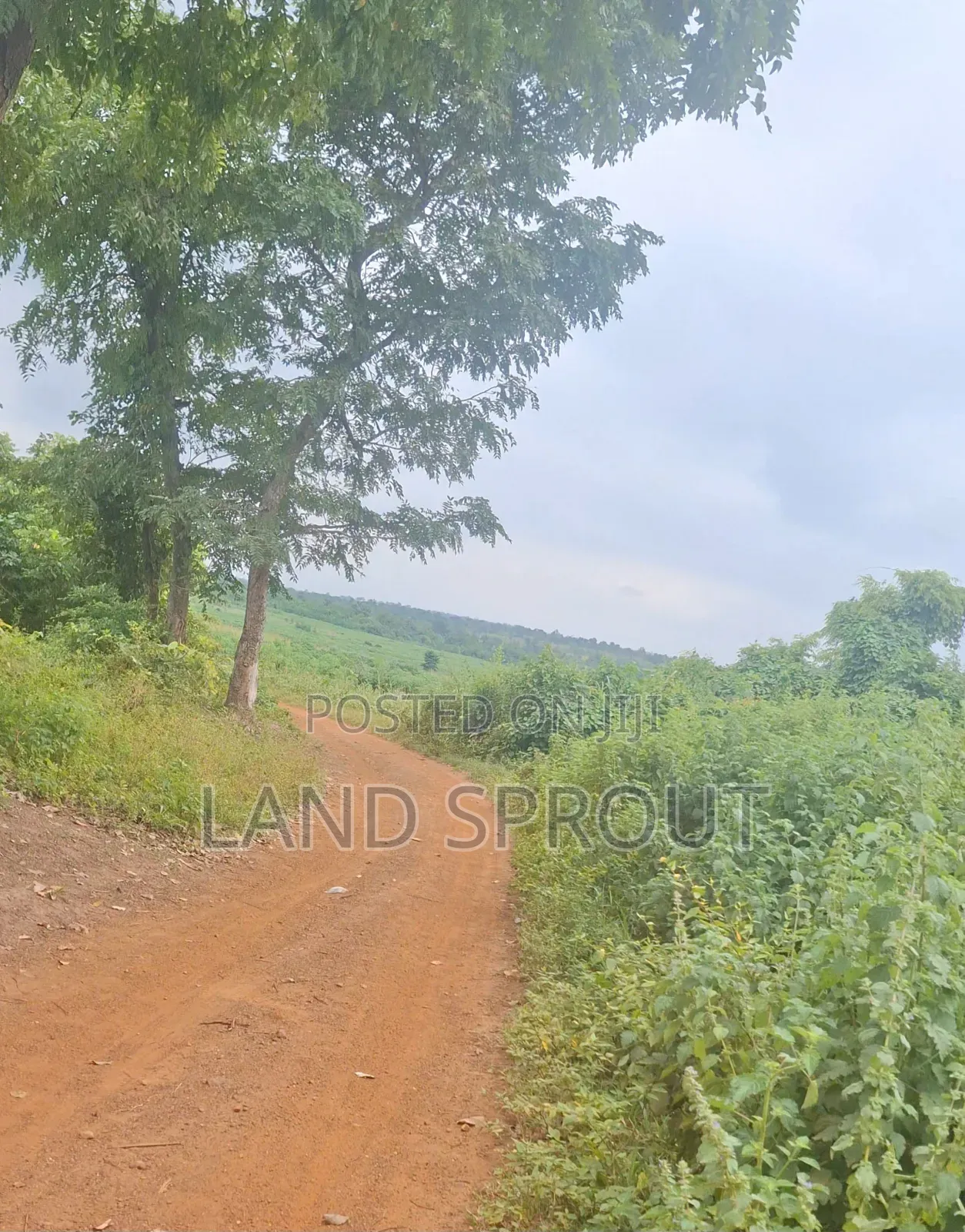30 Acres Farmland for Sale at Aba-Imo, Ido, Ibadan