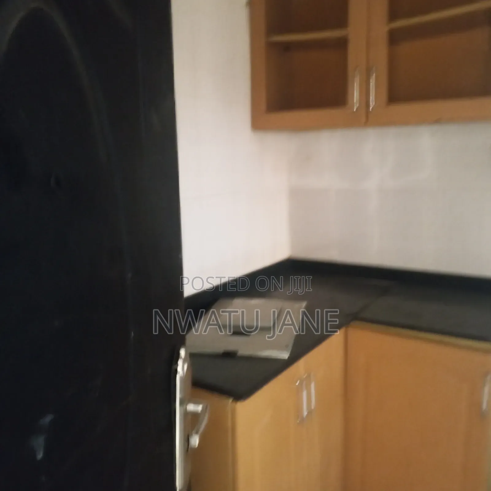 1bdrm Shared Apartment in Greenville Estates for rent