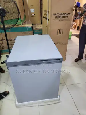 Skyrun BD-260A Commercial Chest Freezer