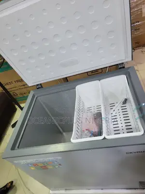 Skyrun 260L Freezer for Frozen Foods