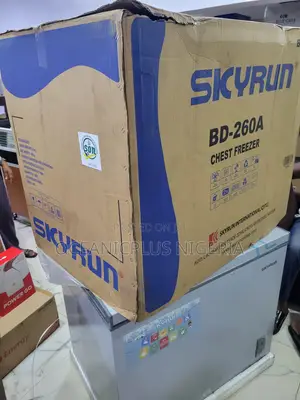 Skyrun 260L Chest Freezer for Everyday Storage
