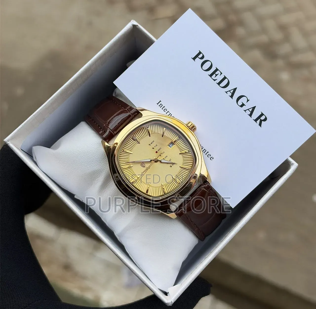 Poedagar Unisex Leather Watch