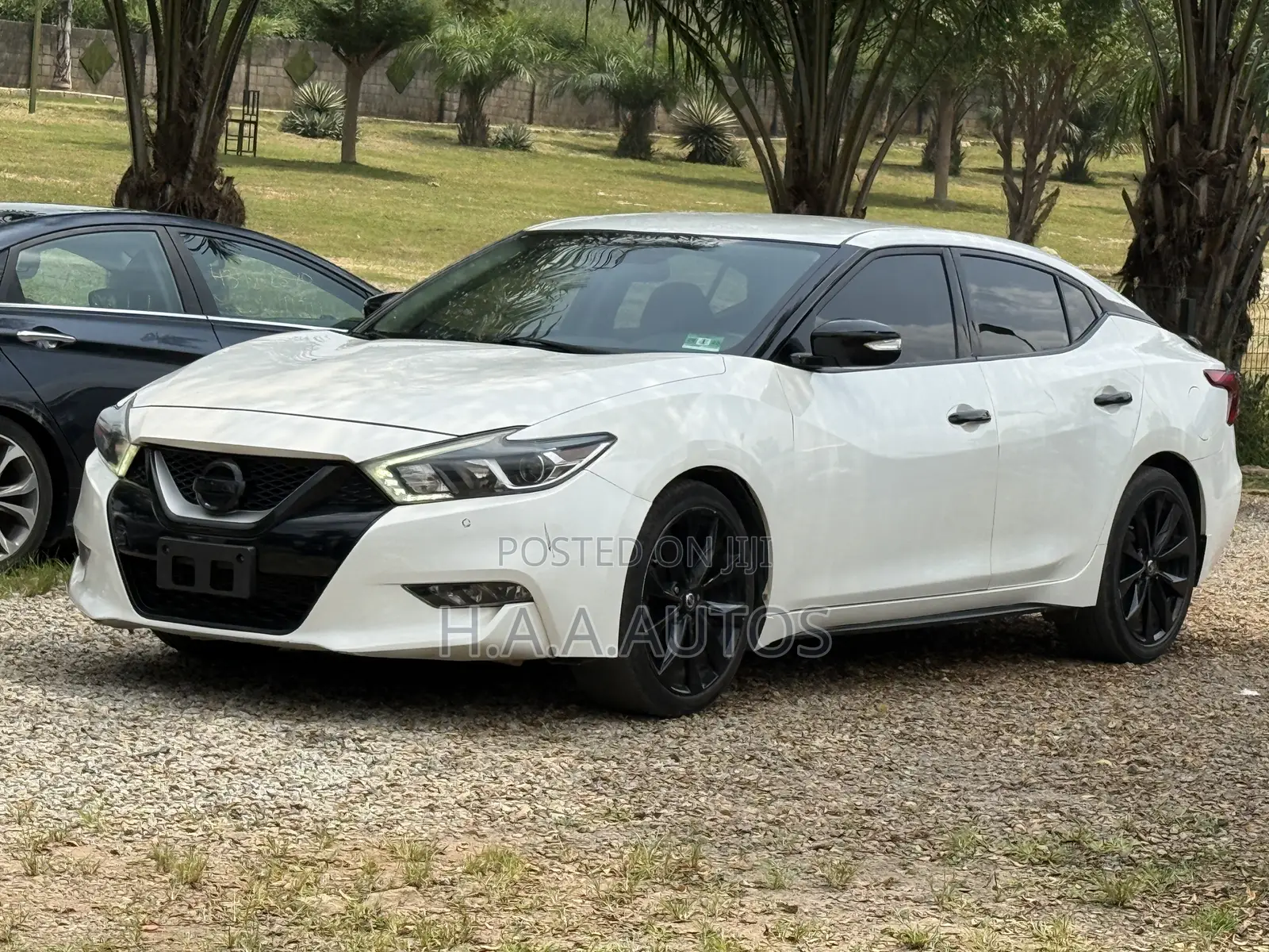 Nissan Maxima 4dr Sedan 2016 White