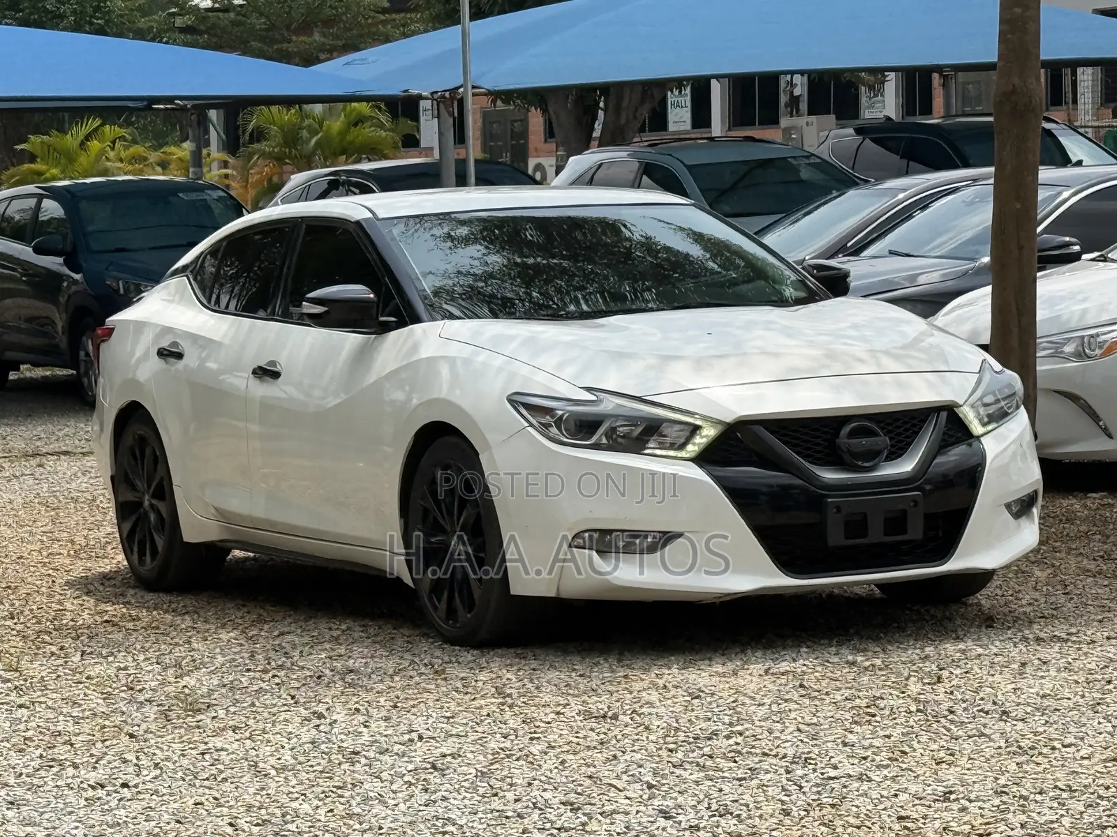 Nissan Maxima 4dr Sedan 2016 White