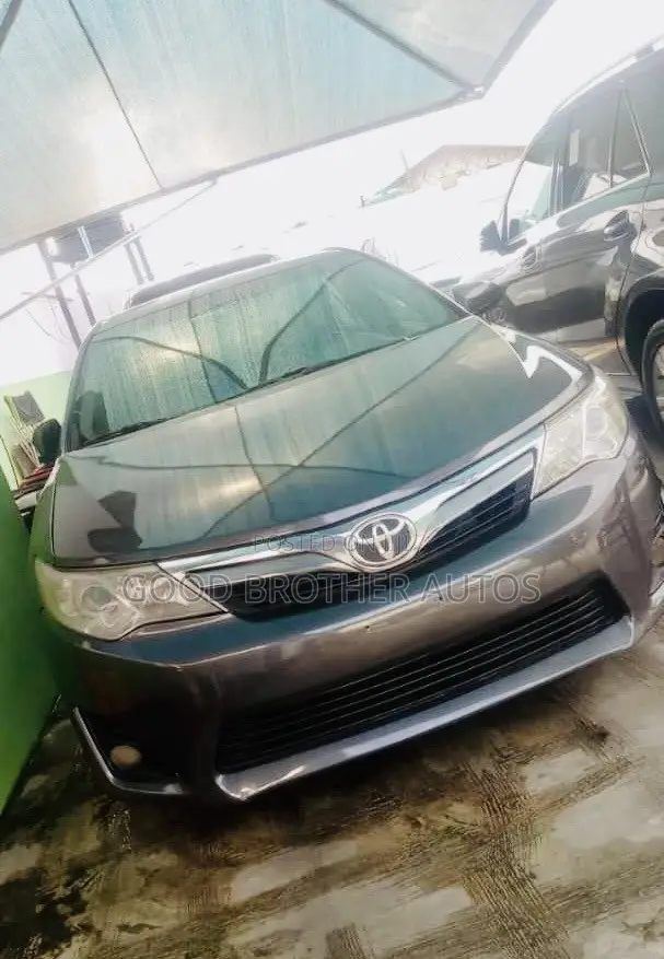 Toyota Camry XLE 4dr Sedan (2.5L 4cyl 6A) 2014 Gray
