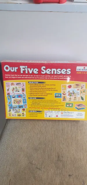 Learning Flash Cards Our Five Senses