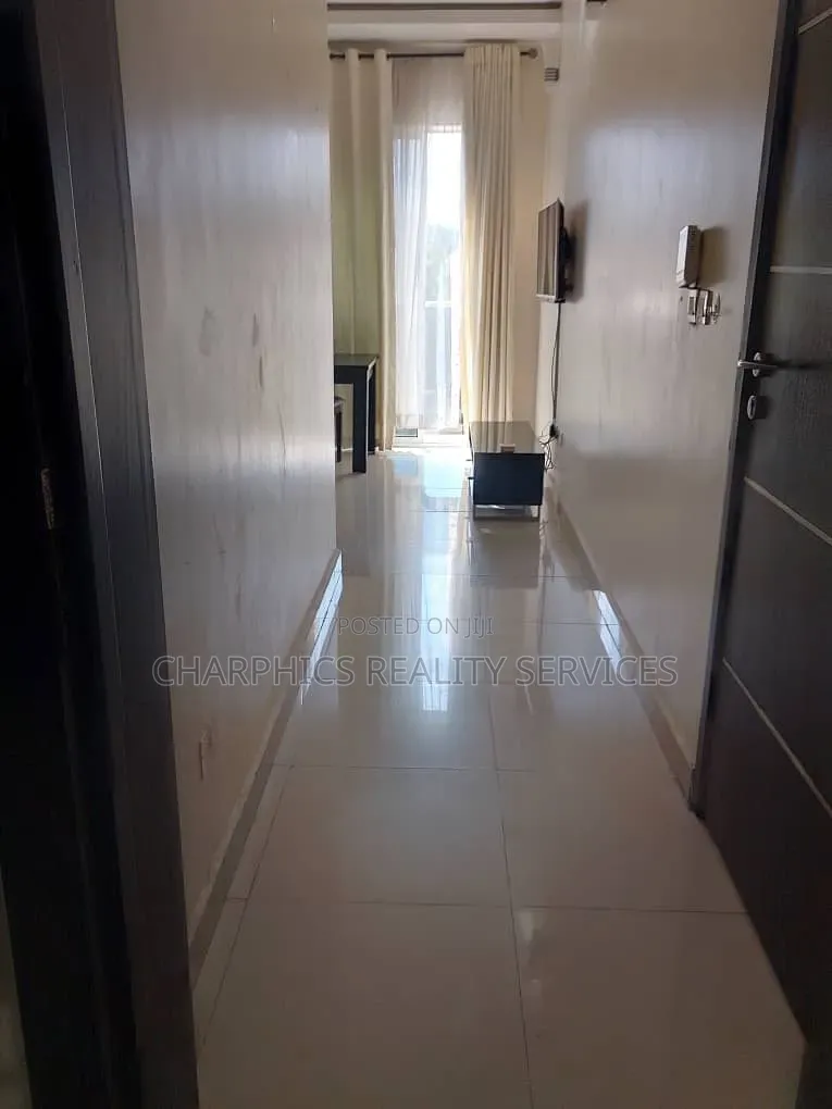 Furnished Mini Flat in Ikoyi S.W for rent