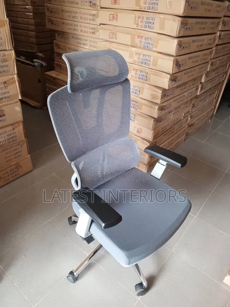 Premium Ergonomic Office Chair (Mesh)