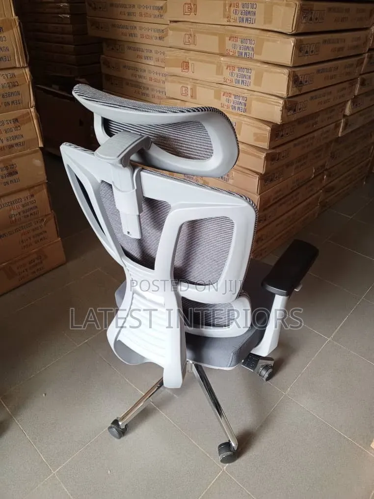 Premium Ergonomic Office Chair (Mesh)