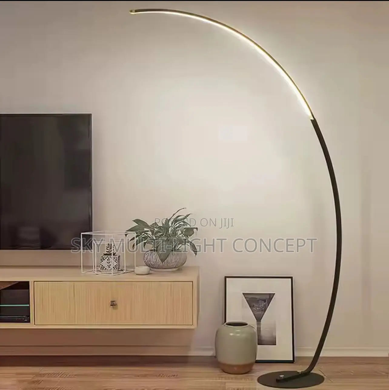 Curved LED Modern Standing Lamp
