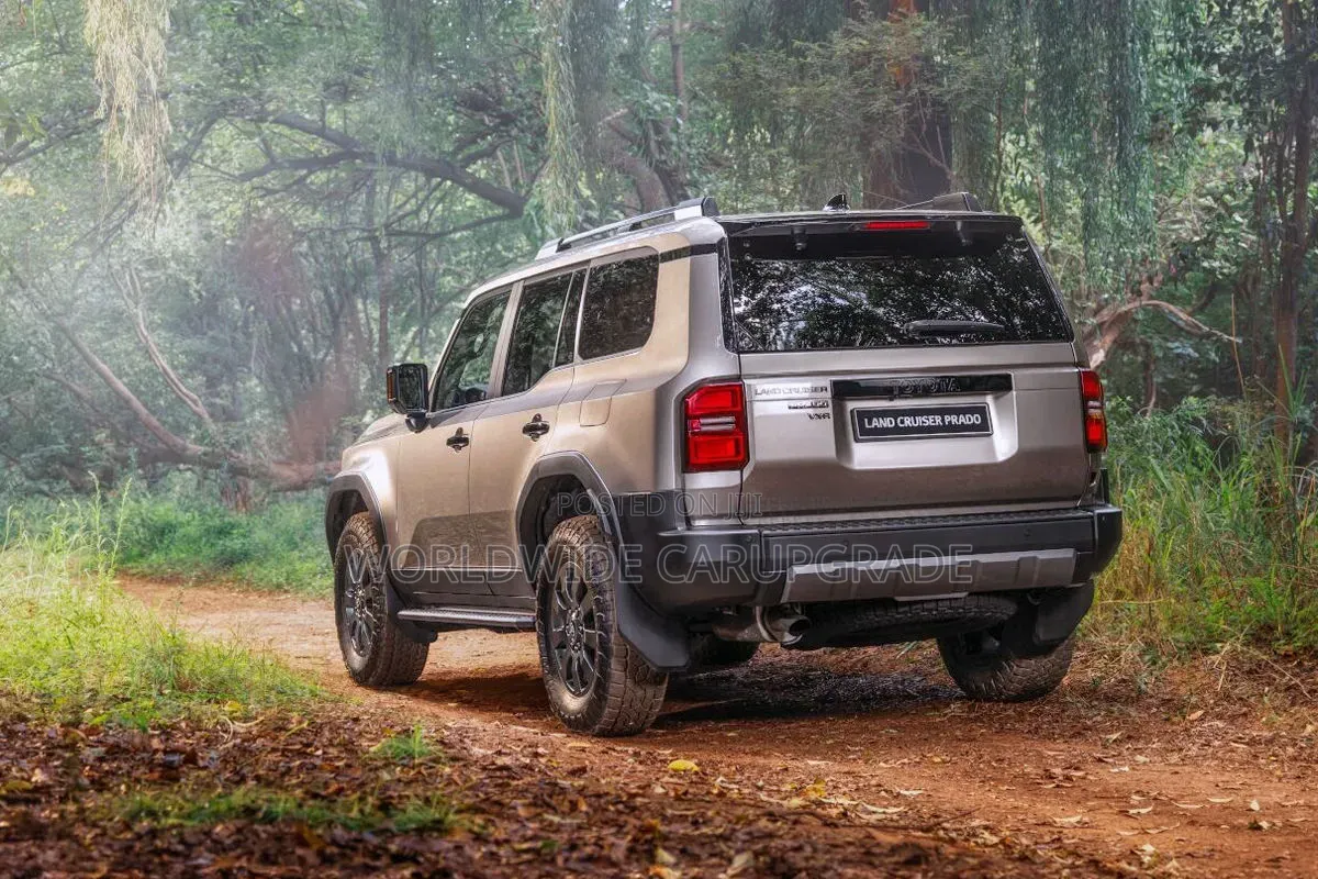 2024 / 2025 Prado Backlight
