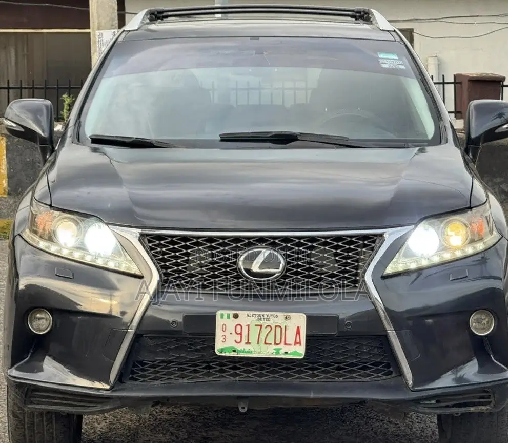 Lexus RX 2010 Gray