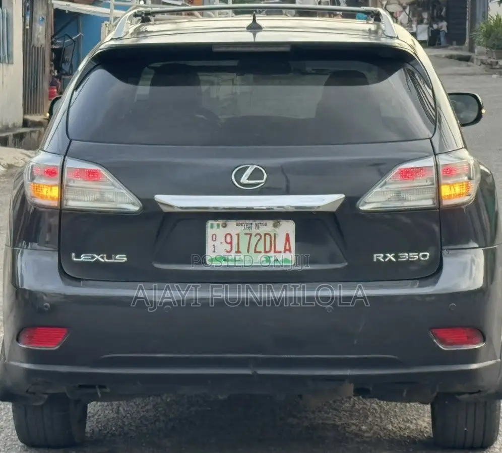 Lexus RX 2010 Gray