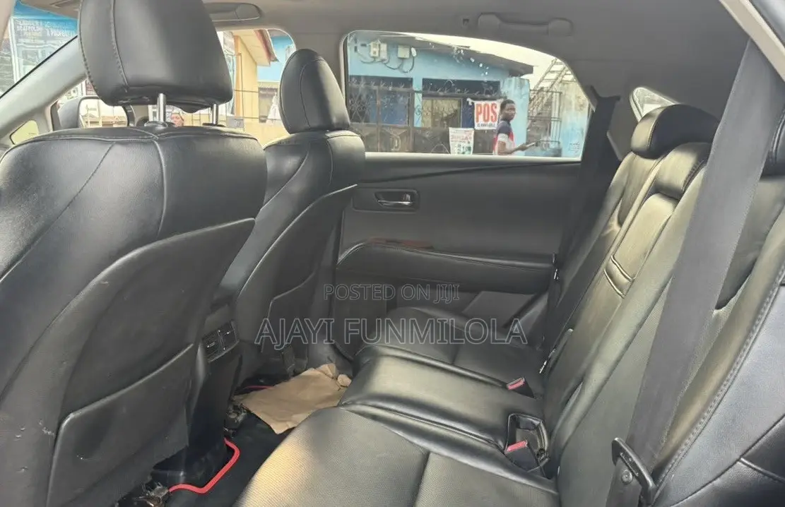 Lexus RX 2010 Gray